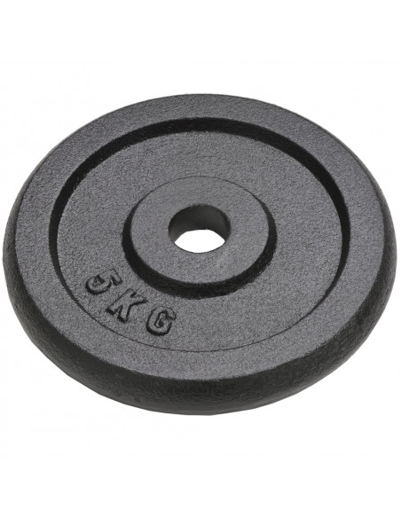 Dischi per Pesi 4 pz 4x5 kg in Ghisa