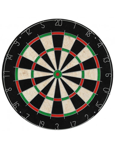 Bersaglio Professionale in Agave con 6 Freccette e Protezione