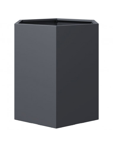 Fioriere da Giardino 2 pz Antracite Esagono 46x40x45 cm Acciaio