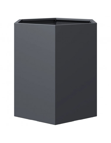 Fioriere da Giardino 2 pz Antracite Esagono 46x40x45 cm Acciaio