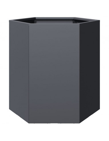 Fioriere da Giardino 2 pz Antracite Esagono 46x40x45 cm Acciaio