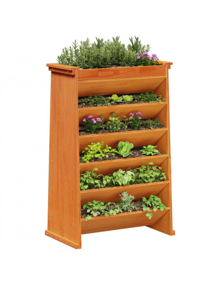 Fioriera Erbe 6 Ripiani Marrone Cera 69x40x101,5cm Legno Pino