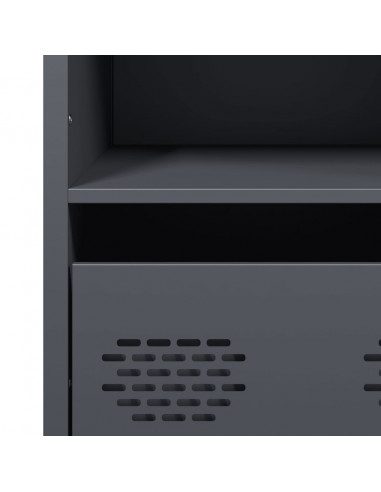 Credenza Antracite 35x39x103,5 cm Acciaio