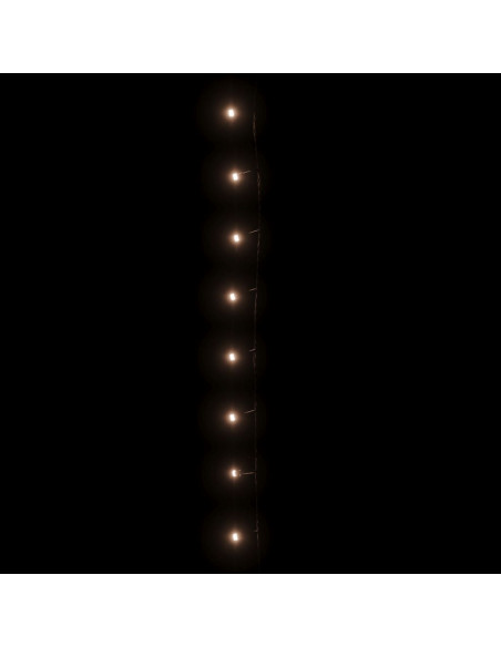 Stringa di Luci con 300 LED Bianco Caldo 30 m in PVC