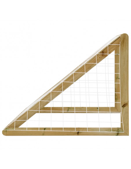 Porta da Calcio con Rete 160x80x100 cm Legno di Pino Impregnato