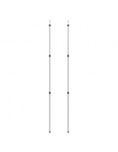 Aste Telescopiche per Tende 102-260 cm 2pz in Alluminio