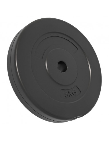 Dischi per Pesi 4 pz 30 kg in Cemento