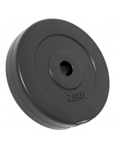 Dischi per Pesi 6 pz 30 kg in Cemento 2