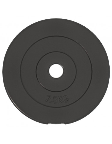 Dischi per Pesi 6 pz 30 kg in Cemento