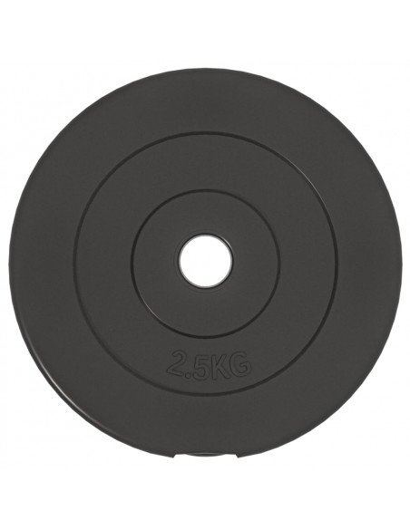 Dischi per Pesi 6 pz 30 kg in Cemento