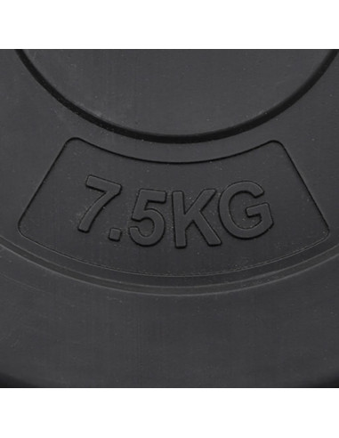 Dischi per Pesi 6 pz 30 kg in Cemento