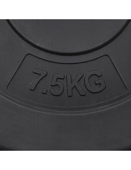 Dischi per Pesi 6 pz 30 kg in Cemento