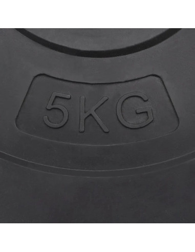 Dischi per Pesi 6 pz 30 kg in Cemento