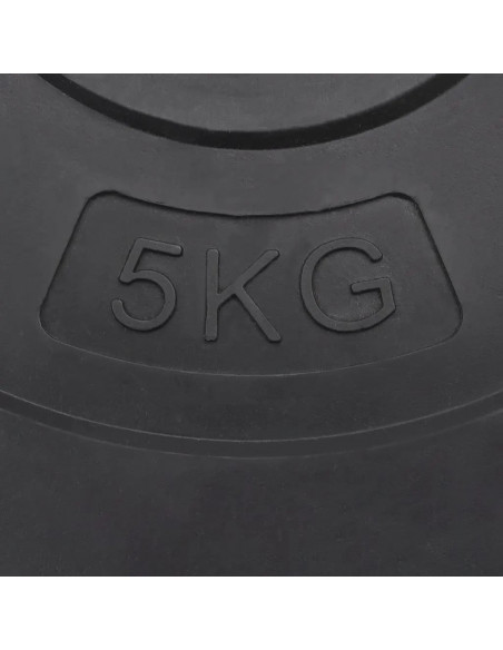 Dischi per Pesi 6 pz 30 kg in Cemento