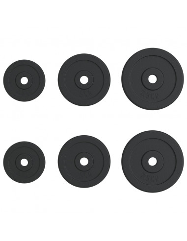 Dischi per Pesi 6 pz 30 kg in Ghisa