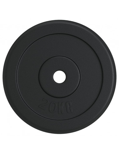 Disco per Pesi 20 kg in Ghisa