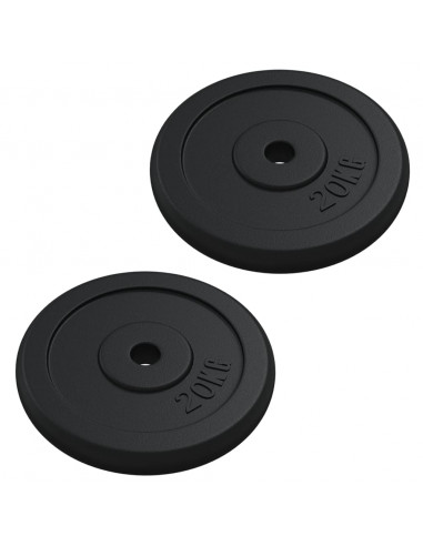 Disco per Pesi 40 kg in Ghisa