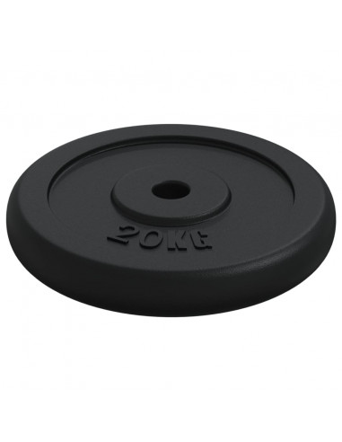 Disco per Pesi 40 kg in Ghisa