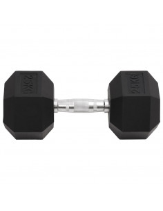 Manubrio 25 kg Ghisa 2