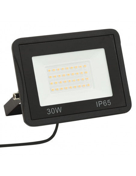 Faretto a LED 30 W Bianco Freddo