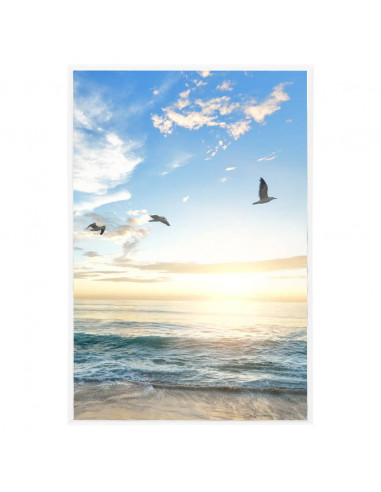 Cornici Foto Collage 5 pz per Tavolo Bianche 21x29,7cm MDF