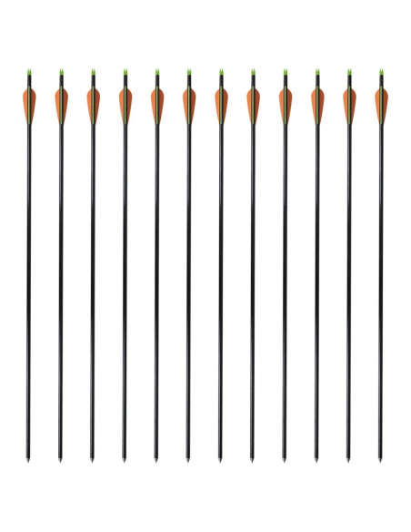 Frecce per Arco Composito Standard 12 pz 30" 0,8 cm Fibra Vetro