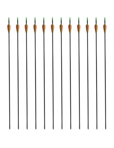 Frecce Standard per Archi Ricurvi 12 pz 76,2/0,6 cm Fibra Vetro