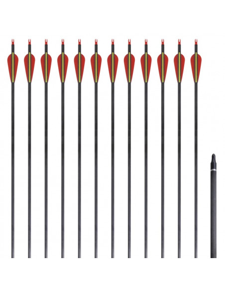 Frecce Standard 12 pz per Arco Ricurvo 30" 0,76 cm in Carbonio