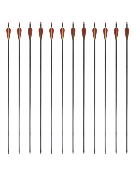 Frecce Standard 12 pz per Arco Ricurvo 30" 0,76 cm in Carbonio