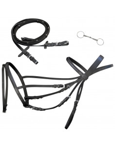 Briglie in Pelle con Redini e Morso Nero per Cavallo Full 2