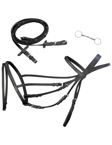 Briglie in Pelle con Redini e Morso Nero per Cavallo Full