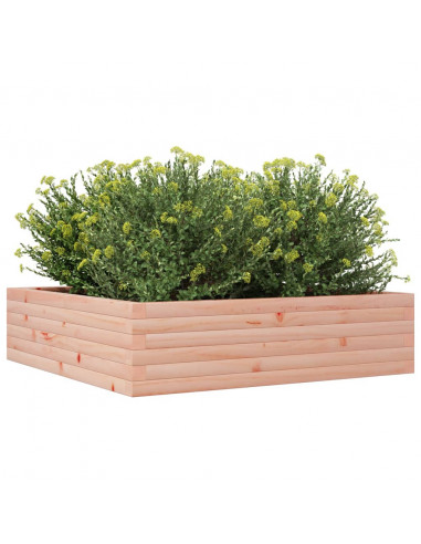 Fioriera da Giardino 90x90x23 cm in Legno Massello di Douglas