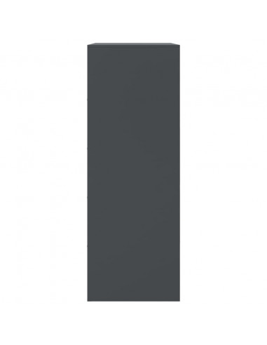 Credenza Antracite 67x39x107 cm in Acciaio