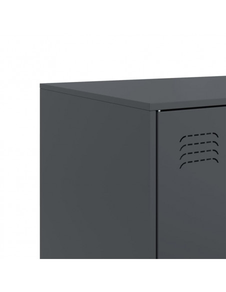 Credenza Antracite 67x39x107 cm in Acciaio