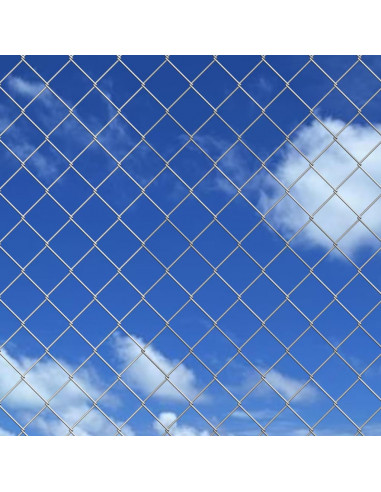 Recinzione a Rete con Pali e Spuntoni Acciaio Zincato 15x1 m