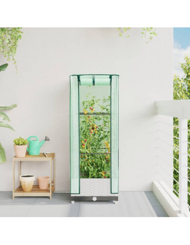 Letto Rialzato con Copertura Serra Effetto Rattan 40x40x123 cm