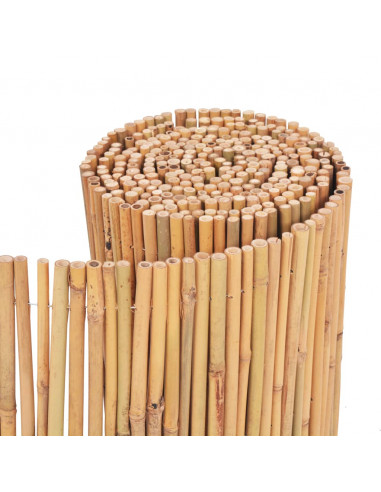 Recinzione in Bambù 500x30 cm