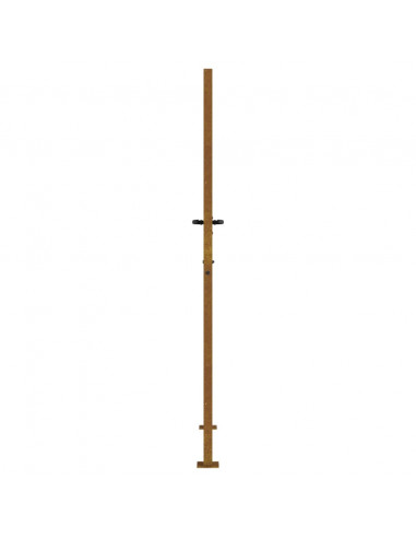 Cancello da Giardino 105x205 cm in Acciaio Corten