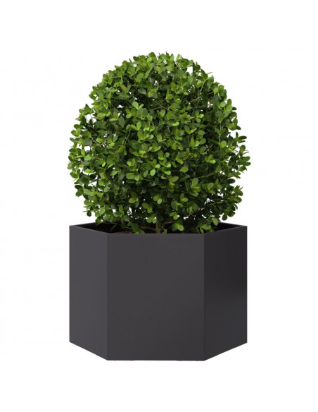 Fioriera da Giardino Nera Esagono 69x60x45 cm in Acciaio