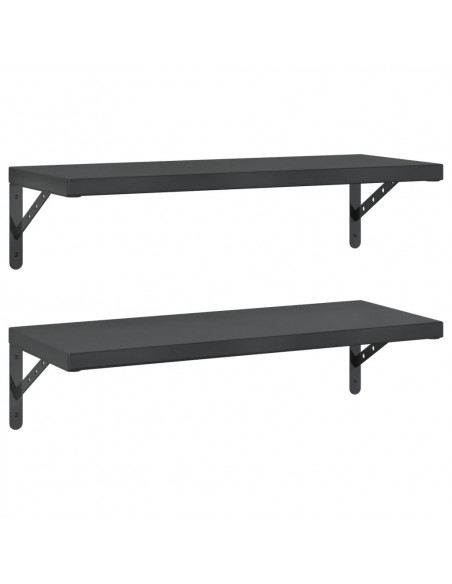 Mensole a Muro 2 pz 75x30 cm Nero in Acciaio Inossidabile
