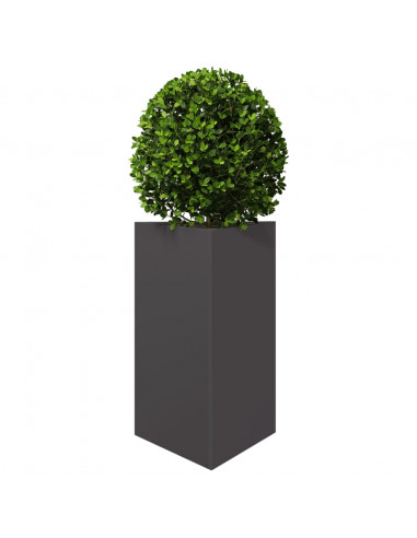 Fioriera da Giardino Nera Triangolare 50x43x75 cm in Acciaio