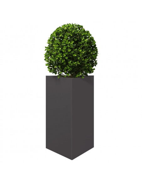 Fioriera da Giardino Nera Triangolare 50x43x75 cm in Acciaio