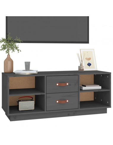 Mobile Porta TV Grigio 100x34x40 cm in Legno Massello di Pino
