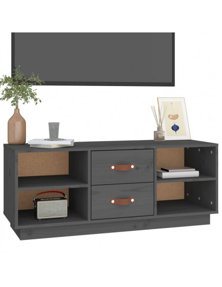 Mobile Porta TV Grigio 100x34x40 cm in Legno Massello di Pino