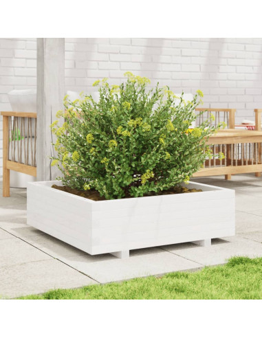 Fioriera da Giardino Bianca 80x80x26,5cm Legno Massello di Pino