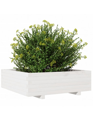 Fioriera da Giardino Bianca 80x80x26,5cm Legno Massello di Pino