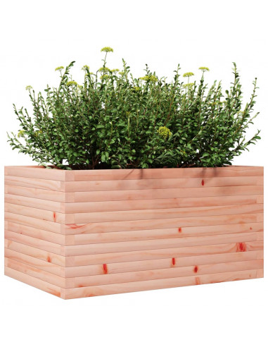 Fioriera da Giardino 90x60x45,5 cm in Legno Massello di Douglas