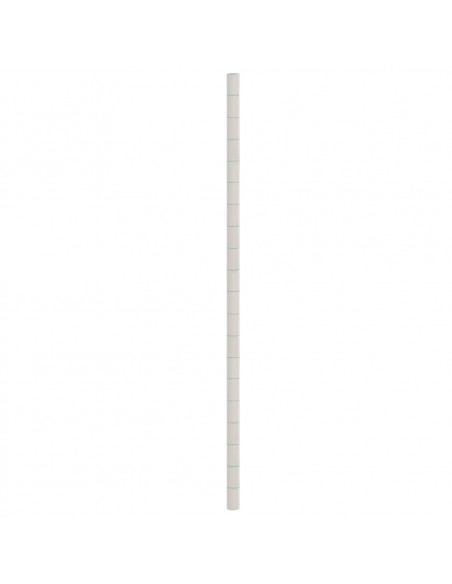 Membrana Antierbacce Bianca 4x25 m in PP