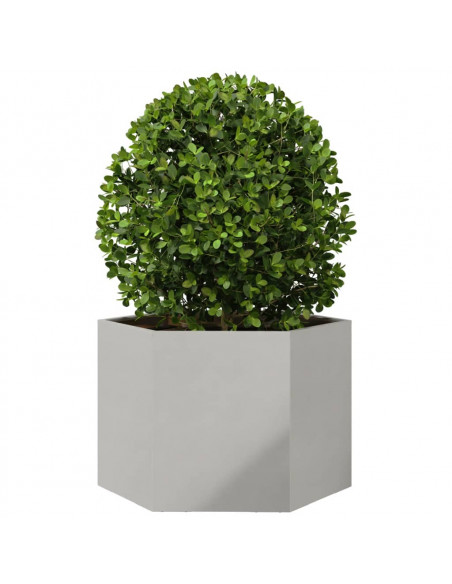 Fioriera da Giardino Esagono 69x60x45 cm in Acciaio Inox
