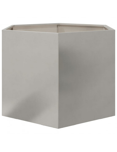 Fioriera da Giardino Esagono 69x60x45 cm in Acciaio Inox